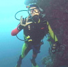 Diving in Palau Diving in Palau
