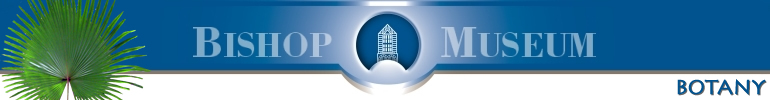To Bishop Museum's homepage To Bishop Museum's homepage
