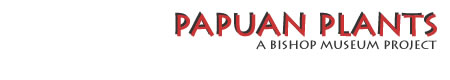 Papua Herpetofauna