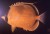 French Polynesia; Bora Bora
25 September 1967