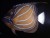 India; Tuticorin
1 March 1975